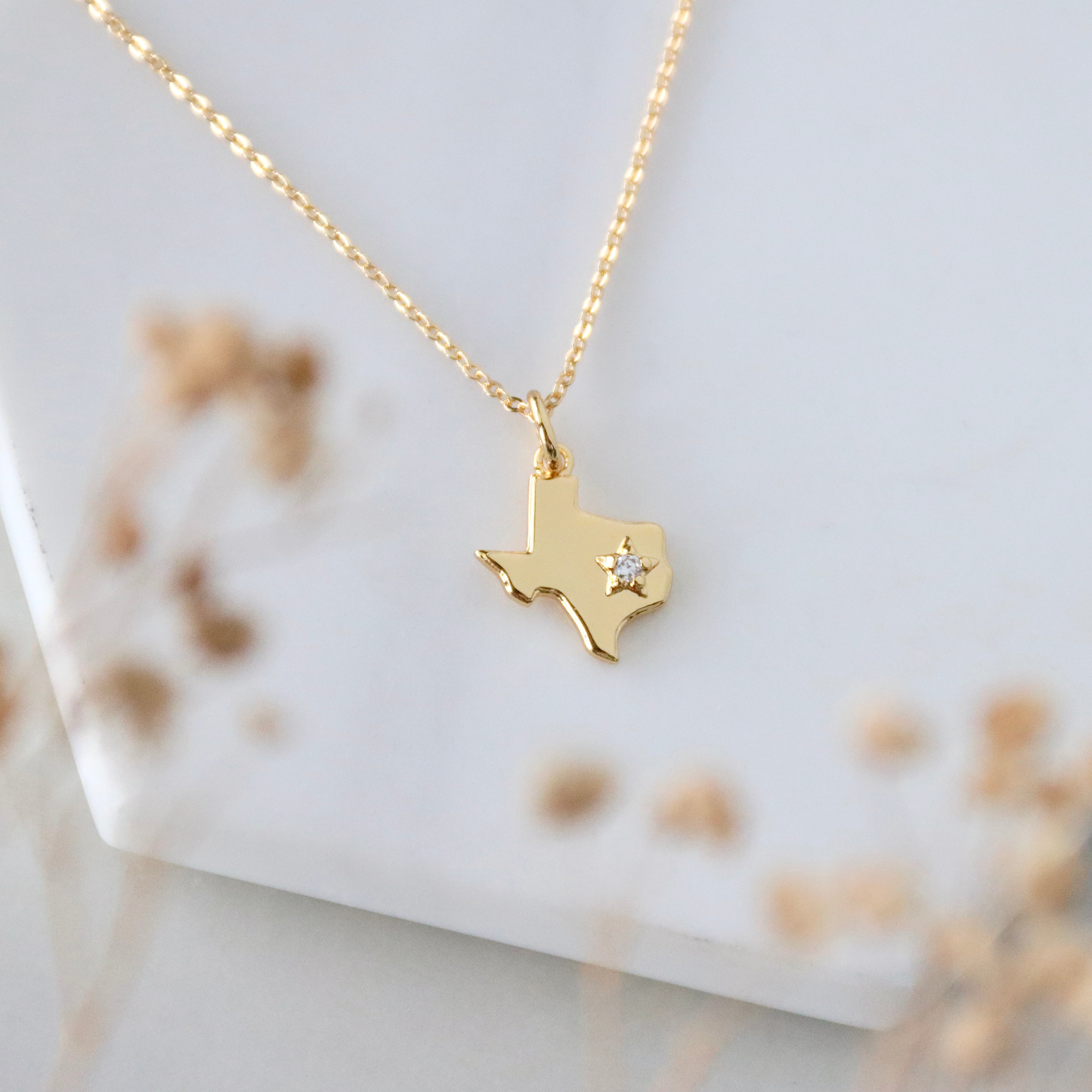 Texas State Necklace